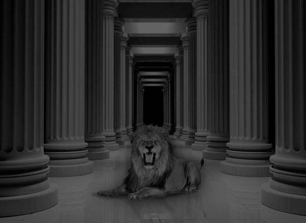 lion-in-middle-of-dark-room
